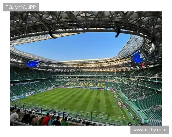 盘点绿茵足球历史巅峰球员全景榜单深度解析与辉煌回顾传奇瞬间录